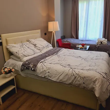 Hotel Driti *