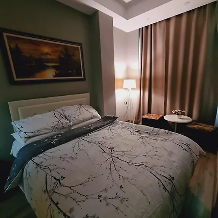 Hotel Driti